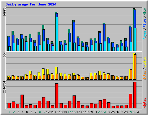 Daily usage for June 2024