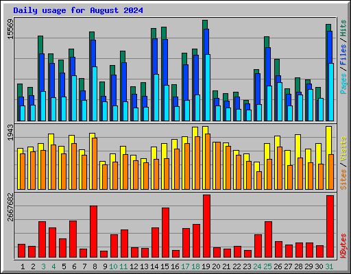 Daily usage for August 2024