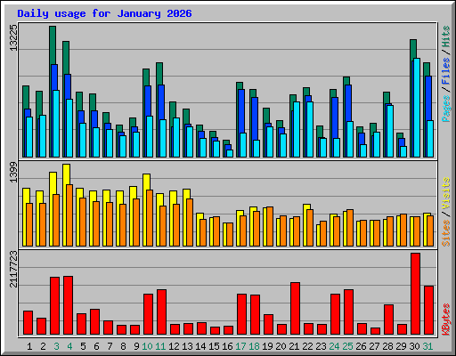 Daily usage for January 2026
