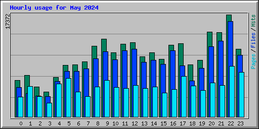 Hourly usage for May 2024