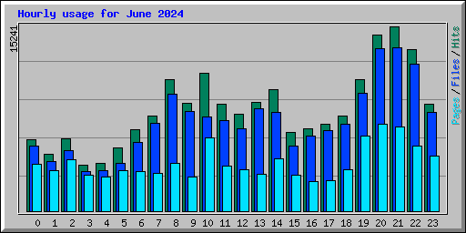 Hourly usage for June 2024