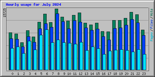 Hourly usage for July 2024