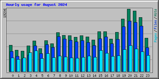 Hourly usage for August 2024