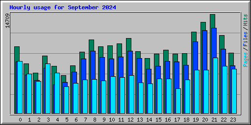 Hourly usage for September 2024