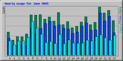 Hourly usage for June 2025