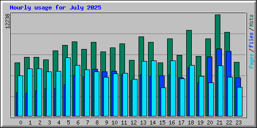 Hourly usage for July 2025