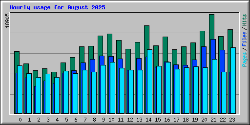 Hourly usage for August 2025