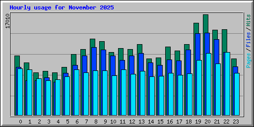 Hourly usage for November 2025