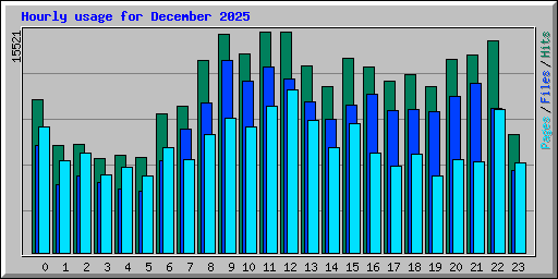 Hourly usage for December 2025