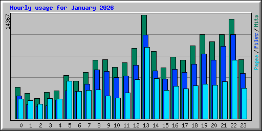 Hourly usage for January 2026