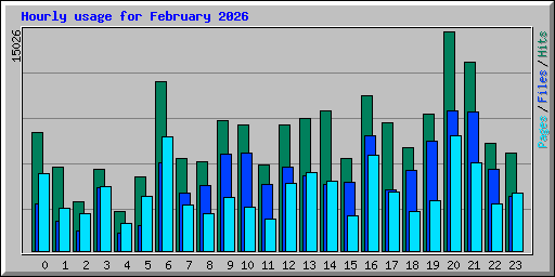 Hourly usage for February 2026