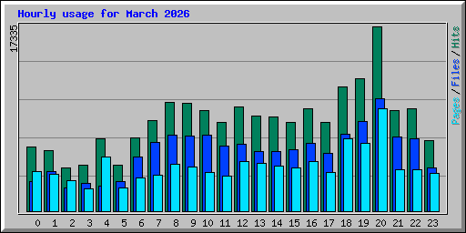 Hourly usage for March 2026